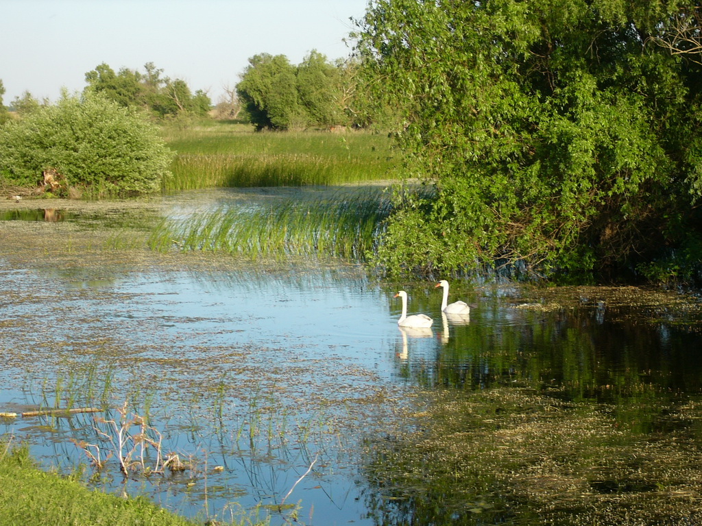 P1070858