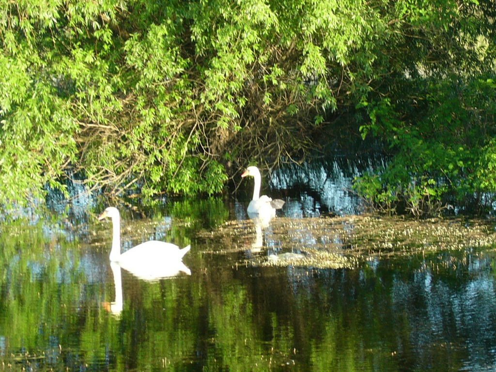 P1070860
